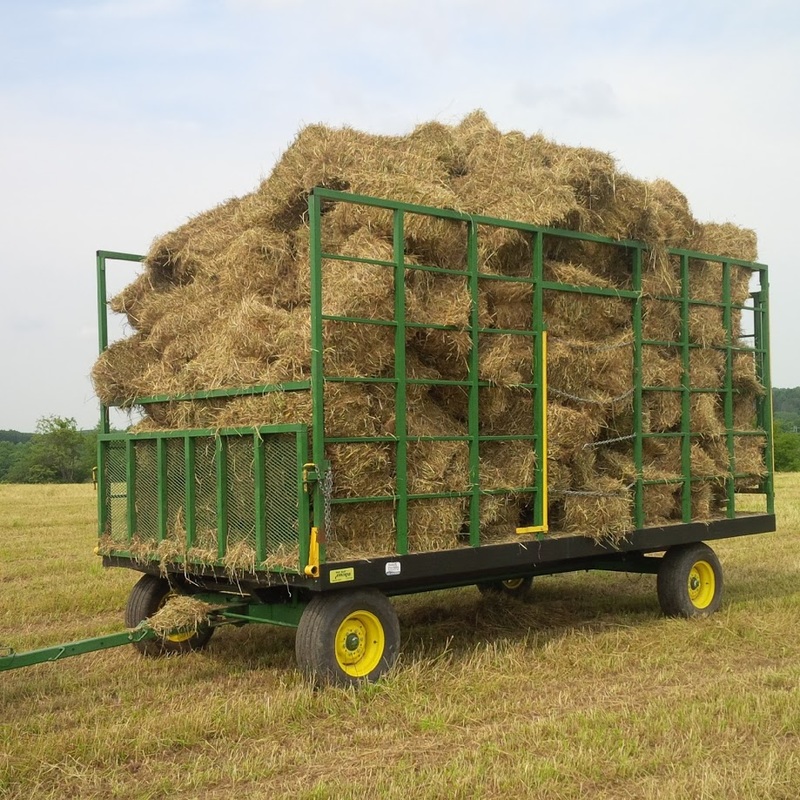 HAY for Sale Bales 